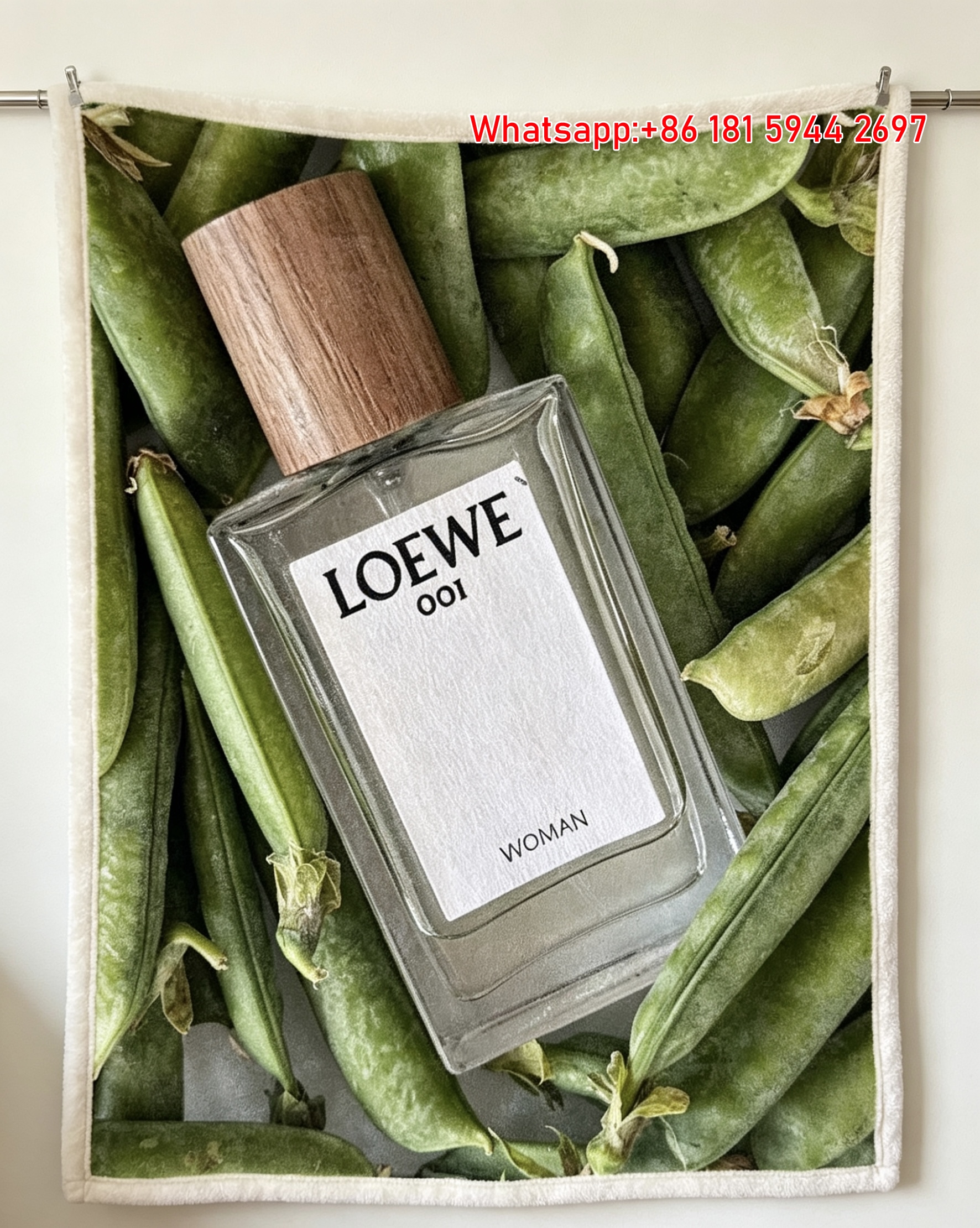 LOEWE 001 Woman Perfume Flannel Sofa Blanket Throw L399